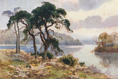 Virginia Water (väri litho) tekijältä Ernest William Haslehust