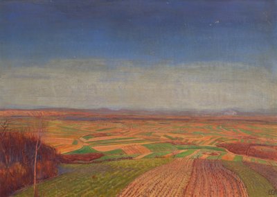 Marchfeld vom Bisamberg tekijältä Ernst Eck