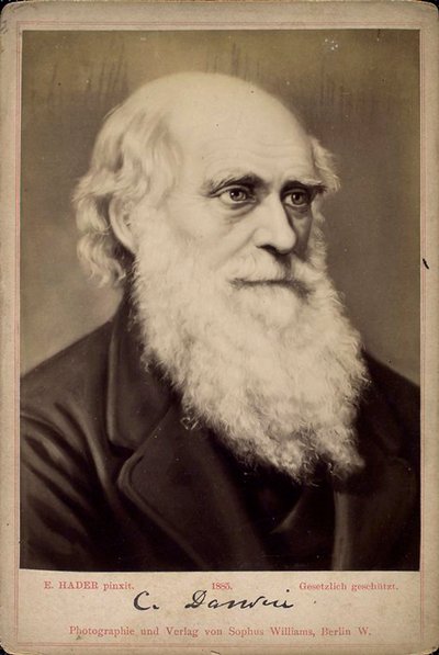 Charles Darwin, brittiläinen luonnontieteilijä, 1860-1870 tekijältä Ernst Hader