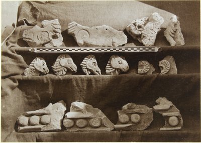 Samarran kaivaukset (Irak): Fragmentit friisistä, jossa on kamelihahmoja, Kalifin palatsista (Dar al-Khilafa, Jawsaq al-Khaqani, Bayt al-Khalifah), Pieni Serdab, n. 1911-13 (b/w) kuva) tekijältä Ernst Herzfeld