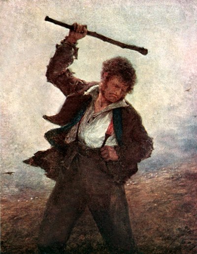 Home Rule (värillinen litografia) tekijältä Erskine Nicol