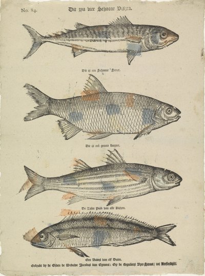 Aquests són quatre bells peixos (títol sobre objecte) acabats tekijältä Erven de Weduwe Jacobus van Egmont