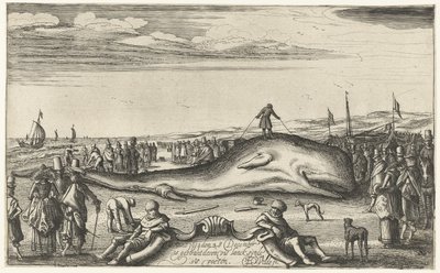 Pulaan jäänyt kaskelotti rannalla Noordwijkissa, 1614 tekijältä Esaias van de Velde