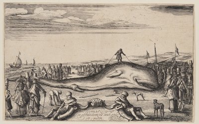 Rantautunut valas Noordwijkissa tekijältä Esaias van den Velde I