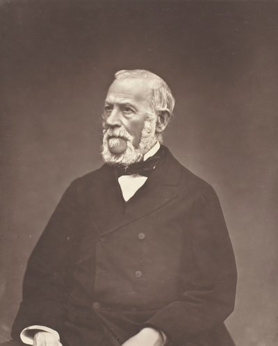 Henri Martin, c. 1876. tekijältä Etienne Carjat
