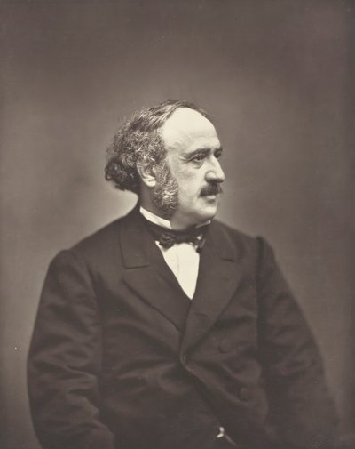 Jules Simon, c. 1876. tekijältä Etienne Carjat