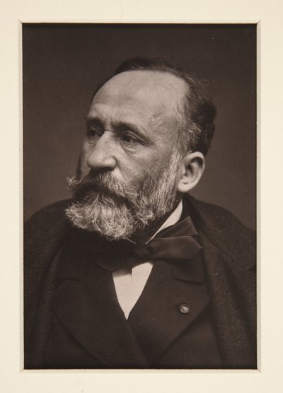 Pierre Puvis de Chavannesin muotokuva (1824-1898) tekijältä Etienne Carjat