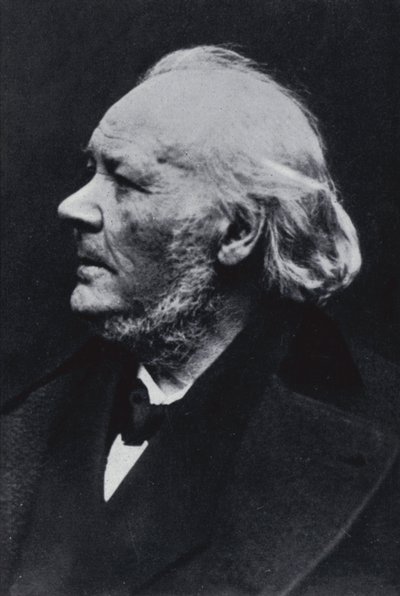 Kuvittaja Honore Daumier tekijältä Etienne Carjat