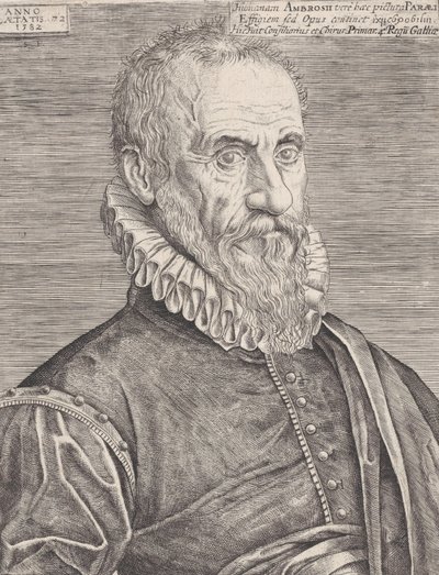 Kuninkaan kirurgin Ambroise Parén muotokuva, 1582. tekijältä Etienne Delaune