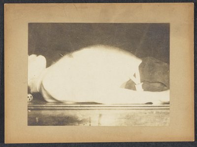 Marey hengitystutkimuksessa tekijältä Etienne Jules Marey