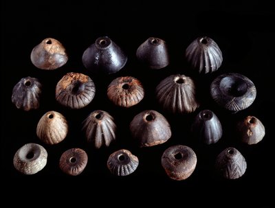 Etruskien sivilisaatio: terrakotta fusaioli San Cerbonen haudasta 1, Populonia - 700-luku eKr. tekijältä Etruscan