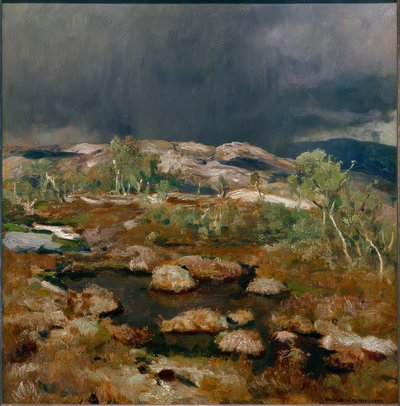 Sadekuuroja Norjan nummella tekijältä Eugen Felix Prosper Bracht