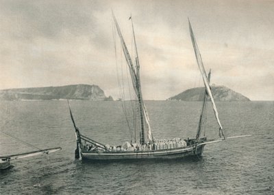 Purjevene Napolin satamassa, Italiassa, 1927 tekijältä Eugen Poppel