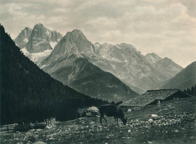 Näkymä Brenta-ryhmästä alppilaitumella, Madonna di Campiglio, Dolomiitit, Italia, 1927 tekijältä Eugen Poppel