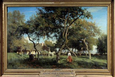 Omenoiden poimiminen Normandiassa vuonna 1865. Eugene Lavieillen (1820-1889) maalaus tekijältä Eugene Antoine Samuel Lavieille