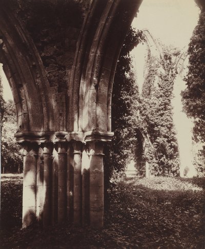 Dammarie-les-Lys, rauniot,1910 (kuva) tekijältä Eugène Atget