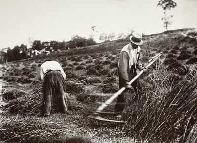 Faucheurs, Somme tekijältä Eugène Atget