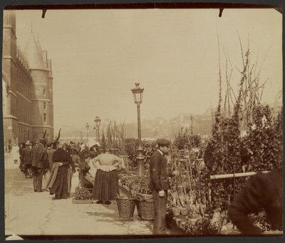 [Kukkatori] tekijältä Eugène Atget