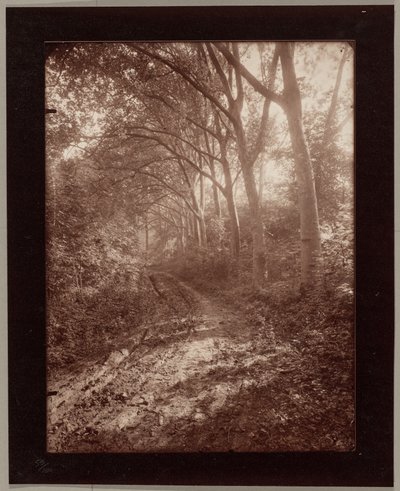 Sceaux’n puisto tekijältä Eugène Atget