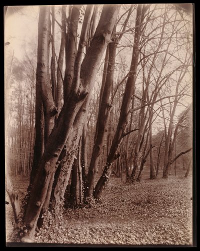  tekijältä Eugène Atget