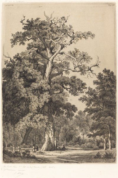 Muinainen tammi Bois de Boulognessa, 1855. tekijältä Eugene Bléry