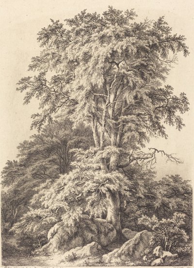 Beech Grove tekijältä Eugene Bléry