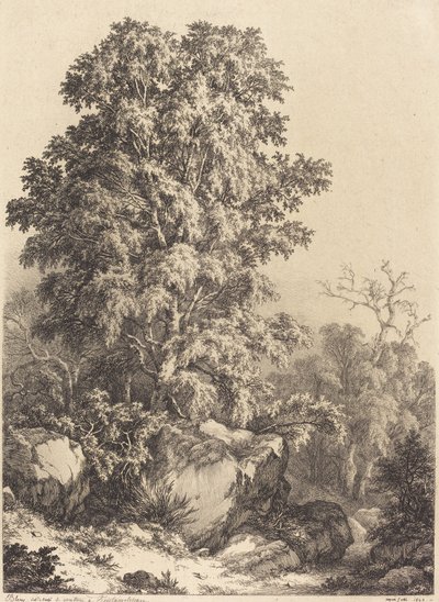 Beech Grove, 1840. tekijältä Eugene Bléry