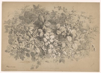 Bramen en andere planten Brambles ja erilaiset kasvit (otsikko esineessä) Planten en bloemen (sarjan nimi) Teollisuusopas luonnosta piirretty ja Bléryn litografia (sarjan nimi) tekijältä Eugene Bléry