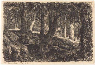 Puu juurineen, julkaistu 1849. tekijältä Eugene Bléry