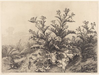 Iso ohdake, 1843. tekijältä Eugene Bléry