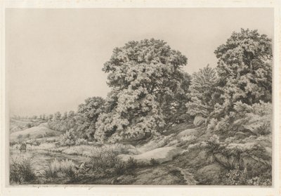 Oaks lähellä lampia, 1852. tekijältä Eugene Bléry