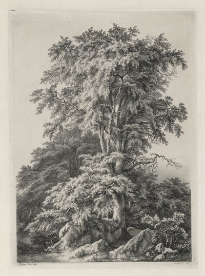 Luonnon mukaan piirrettyjä ja kaiverrettuja tutkimuksia: The Beach, Fontainbleau..., 1840. tekijältä Eugene Bléry