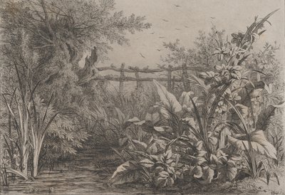 Lampi, 1857. tekijältä Eugene Bléry