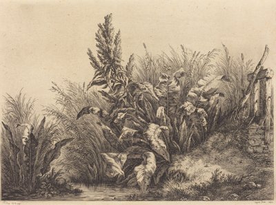 Vesilaituri, 1840. tekijältä Eugene Bléry