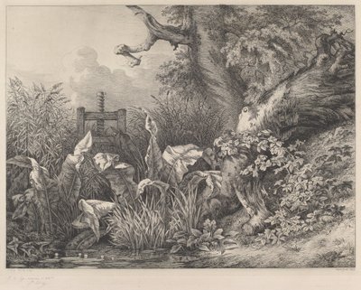 Vesitelakka ja kaljat sulkussa, 1843. tekijältä Eugene Bléry