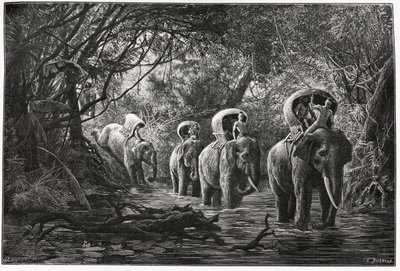 Matkalla metsään retkikunta kulkee norsun selässä. Kaiverrus Eugene Burnand, havainnollistamaan tarinaa "Matka Ylä-Laosissa", vuonna 1880, tohtori P.Neis. Julkaistu Le Tour du monde, nouveau journal des voyages, 2. lukukausi 18. tekijältä Eugene Burnand