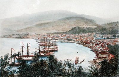 Näkymä Saint-Pierresta nähtynä asepatterista Sainte-Marthessa, Martinique (värilitografia) tekijältä Eugene Ciceri