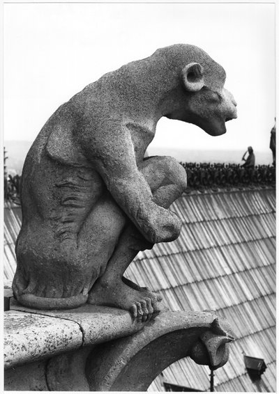 Monkey gargoyle, Grande Galerien länsijulkisivun kaiteet, kopio 1100-luvun alkuperäisestä (kivi) (m/v kuva) tekijältä Eugene Emmanuel Viollet le Duc