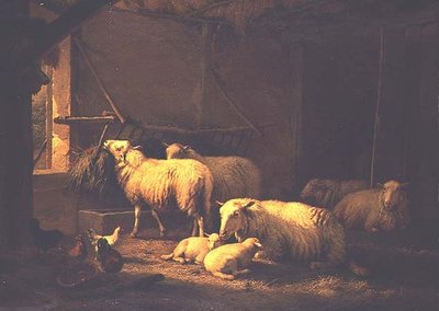 Lampaat ja siipikarja navetassa tekijältä Eugene Joseph Verboeckhoven