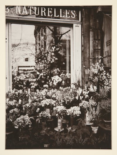 Kukkakauppa -37 (kukkakauppa) tekijältä Eugène Atget