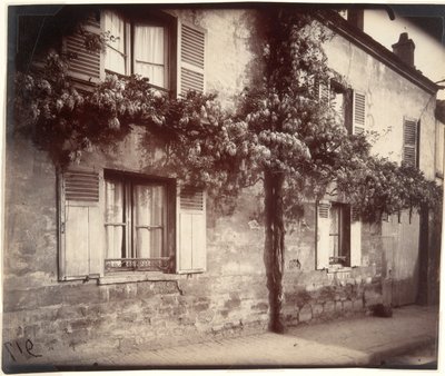 Glysiini (Wisteria), Ch?tillon tekijältä Eugène Atget