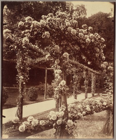 [Jardin de Bagatelle] tekijältä Eugène Atget