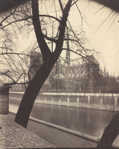 Our Lady tekijältä Eugène Atget