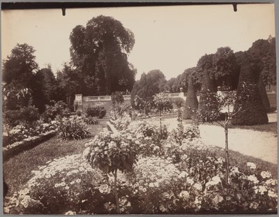 Saint-Cloud tekijältä Eugène Atget