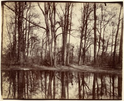 Saint-Cloud tekijältä Eugène Atget