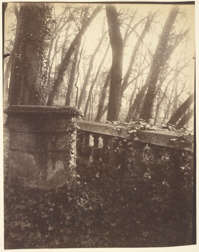 Saint-Cloudin puisto, Pariisi tekijältä Eugène Atget