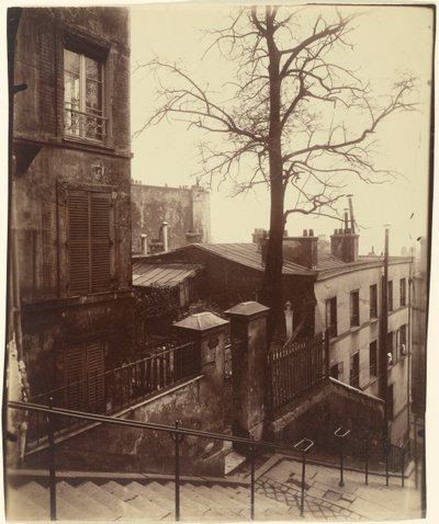 Portaikko, Montmartre, 1921. tekijältä Eugène Atget