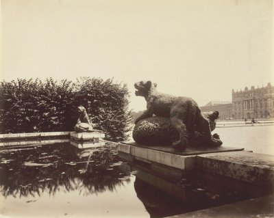 Versailles, Fontaine du Point du Jour, Houzeaun Tiger Slaying a Bear, 1903. tekijältä Eugène Atget
