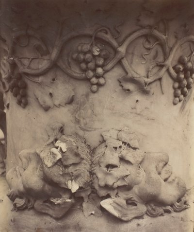 Versailles, Maljakon yksityiskohta, 1906. tekijältä Eugène Atget
