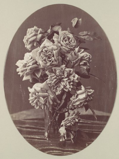 [Ruusut], n. 1875. tekijältä Eugène Chauvigné